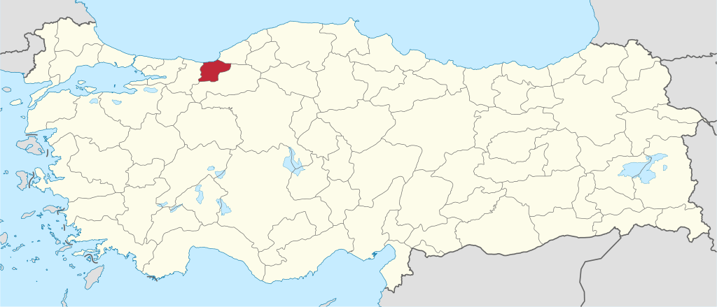 Düzce'in Türkiye haritası üzerindeki konumu