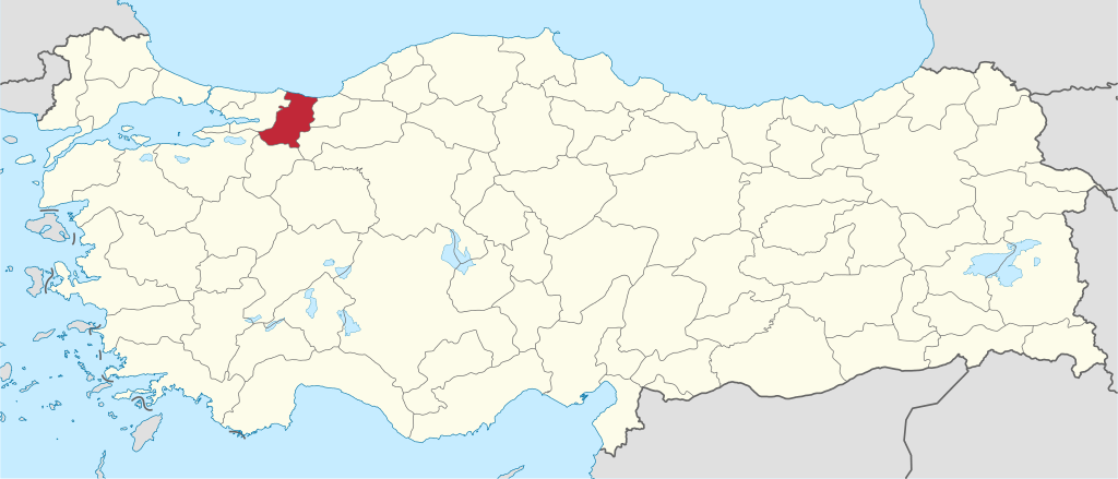 Sakarya'ın Türkiye haritası üzerindeki konumu